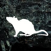 Thumbnail for the Dani Rivas - Scroll link, provided by host site