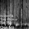 Thumbnail for the Incident - Se på oss nå link, provided by host site