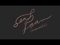 Thumbnail for the Land Of Talk - Sea Foam link, provided by host site