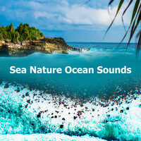 Thumbnail for the Calm Ocean Sounds - Sea Nature Ocean Sounds link, provided by host site
