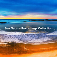 Thumbnail for the Sea Nature Players - Sea Nature Recordings Collection link, provided by host site