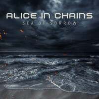 Thumbnail for the Alice in Chains - Sea of Sorrow link, provided by host site