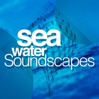Thumbnail for the Waterscapes - Sea Water Soundscapes link, provided by host site