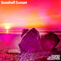 Thumbnail for the Sounds of Nature Relaxation - Seashell Sunset link, provided by host site