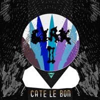 Thumbnail for the Cate le Bon - Seaside, Lowtide link, provided by host site