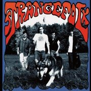 Thumbnail for the Strangefolk - Seaside Par - Gathering of the Vibes link, provided by host site