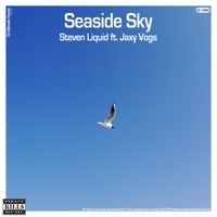 Thumbnail for the Steven Liquid - Seaside Sky [Extended Mix] link, provided by host site