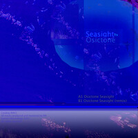 Thumbnail for the Osictone - Seasight link, provided by host site