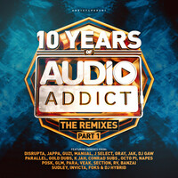 Thumbnail for the Flat T - Seasons - DJ Hybrid Remix link, provided by host site