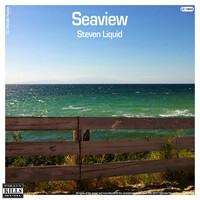 Image of Steven Liquid linking to their artist page due to link from them being at the top of the main table on this page