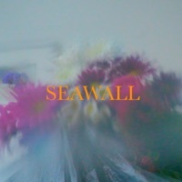 Thumbnail for the Neev - Seawall link, provided by host site
