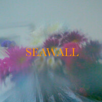 Image of Neev linking to their artist page due to link from them being at the top of the main table on this page