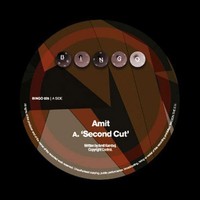 Thumbnail for the Amit - Second Cut / Immigrants link, provided by host site