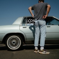 Thumbnail for the Healy - Second Wind link, provided by host site