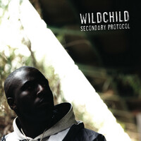 Thumbnail for the Wild Child - Secondary Protocol link, provided by host site