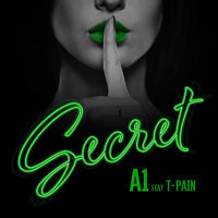Thumbnail for the A1 - Secret link, provided by host site