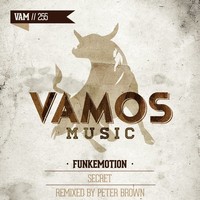 Image of Funkemotion linking to their artist page due to link from them being at the top of the main table on this page
