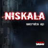 Thumbnail for the Niskala - Secrets link, provided by host site