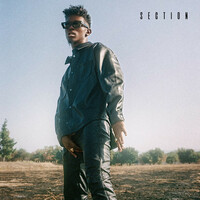 Thumbnail for the B. Smyth - Section link, provided by host site