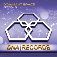 Thumbnail for the Dominant Space - Section 9 link, provided by host site