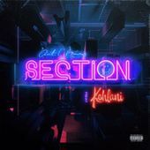 Thumbnail for the Ant Clemons - Section link, provided by host site
