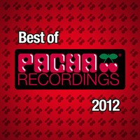 Thumbnail for the Neverdogs - Seductive Grooves - Nick Tcherniak Remix link, provided by host site