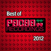 Thumbnail for the Neverdogs - Seductive Grooves (Nick Tcherniak Remix) link, provided by host site