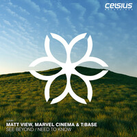 Thumbnail for the Matt View - See Beyond / Need To Know link, provided by host site