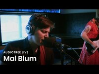 Thumbnail for the Mal Blum - See Me | Audiotree Live link, provided by host site