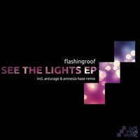 Thumbnail for the Flashingroof - See the Lights link, provided by host site