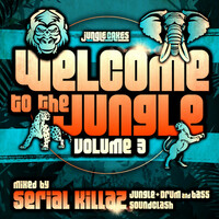 Thumbnail for the Gardna - See The Vibe - Ed Solo Remix link, provided by host site