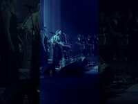 Thumbnail for the Elephant Revival - See you this Saturday at Planet Bluegrass! #Tool #elephantrevival link, provided by host site