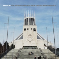 Thumbnail for the Madlib - Seeds (Instrumentals) link, provided by host site