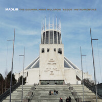 Thumbnail for the Madlib - Seeds (Instrumentals) link, provided by host site
