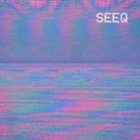 Thumbnail for the Niles - Seeq link, provided by host site
