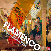 Thumbnail for the Interprètes Divers - Seguiriya flamenca link, provided by host site