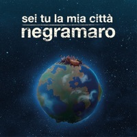 Thumbnail for the Negramaro - Sei Tu La Mia Città link, provided by host site