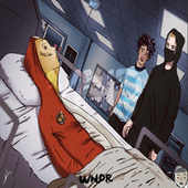 Thumbnail for the WNDR - Seizure link, provided by host site