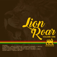 Thumbnail for the Addis Pablo - Selassie Souljahz (Melodica Version) link, provided by host site