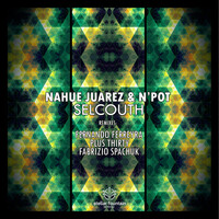 Image of N'Pot linking to their artist page due to link from them being at the top of the main table on this page