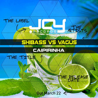Thumbnail for the Shibass - Selecta link, provided by host site