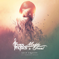 Thumbnail for the Bass Physics - Self Equity link, provided by host site