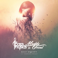 Thumbnail for the Bass Physics - Self Equity link, provided by host site