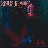 Thumbnail for the LLD - Self Made link, provided by host site