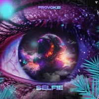 Thumbnail for the Provoke - Selfie link, provided by host site