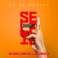 Thumbnail for the DeLaGhetto - Selfie [Remix] link, provided by host site