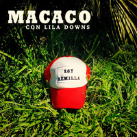 Thumbnail for the Macaco - Semillas link, provided by host site
