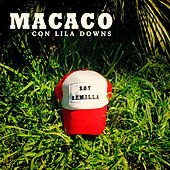 Thumbnail for the Macaco - Semillas link, provided by host site