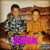 Thumbnail for the Saskilla - Senegal link, provided by host site