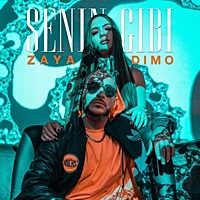 Thumbnail for the ZAYA - Senin Gibi link, provided by host site